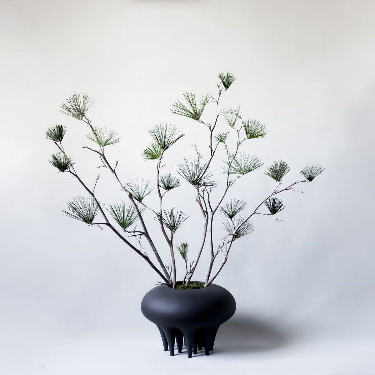 Medusa Vase