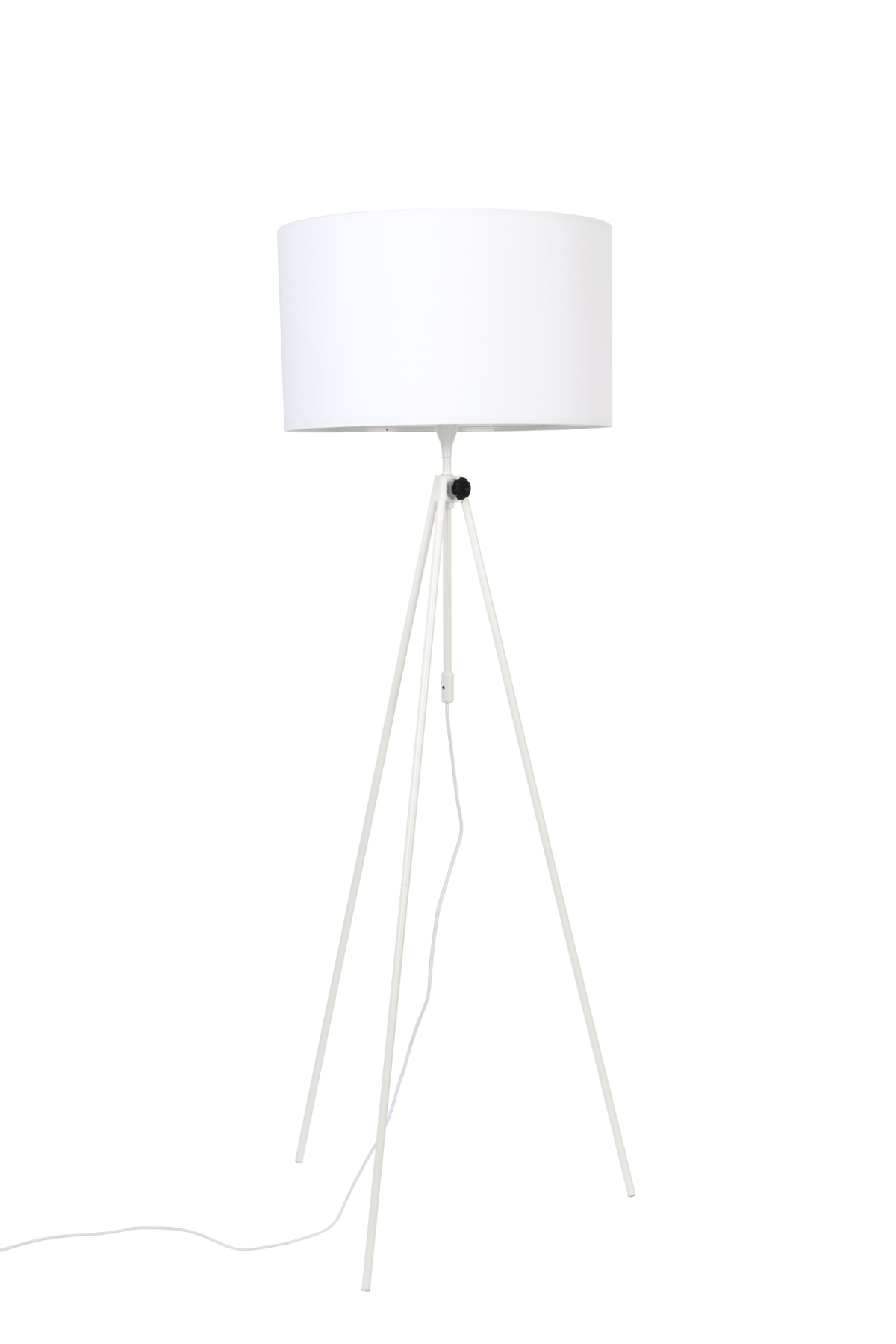 Lesley Floor Lamp