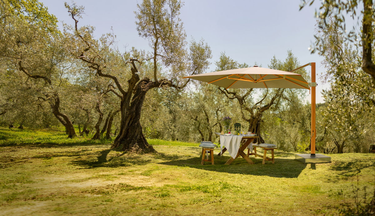 Parasols
