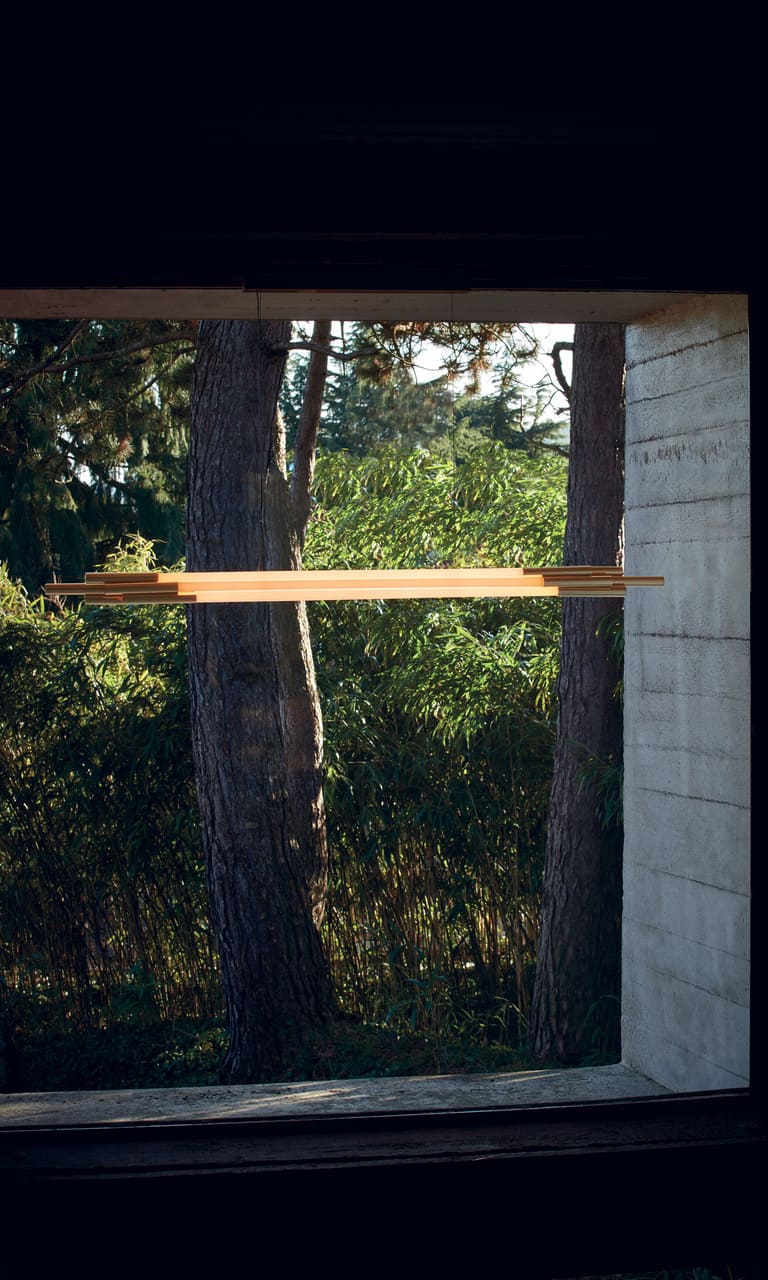 Org Pendant Lamp