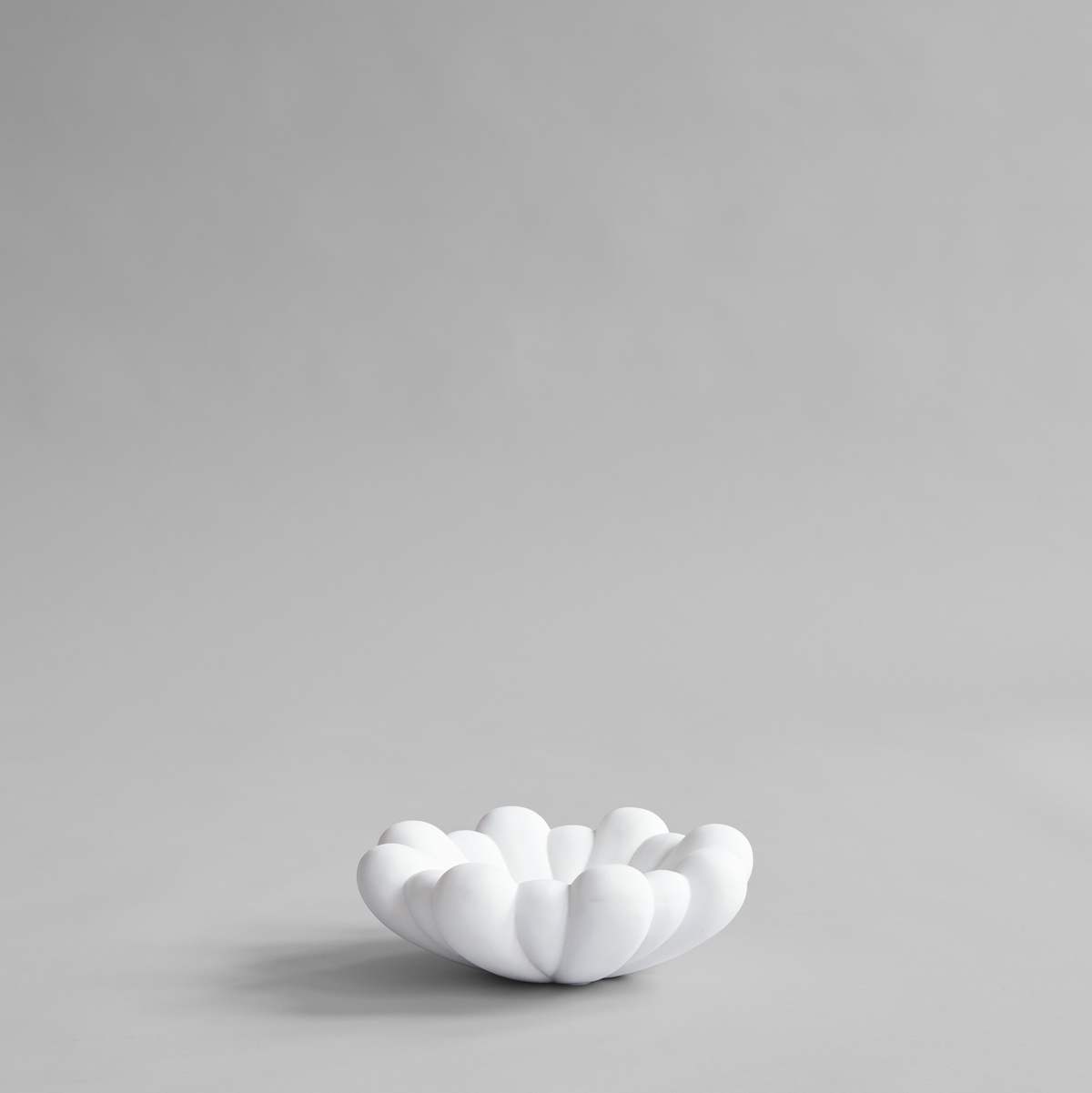 Bloom Tray