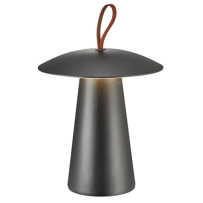 Ara To-Go Outdoor Lamp