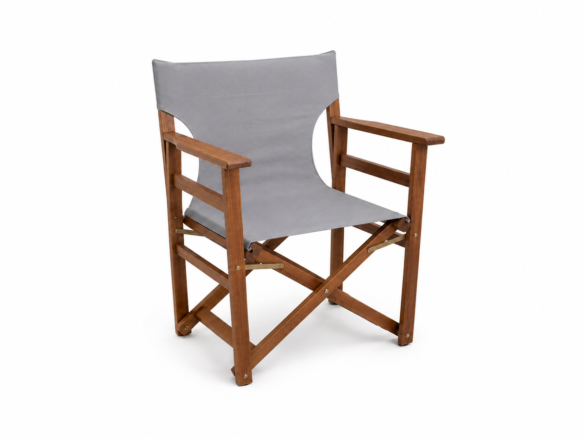Hydra Director's Chair