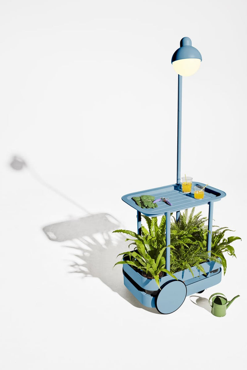 Jolly Trolley